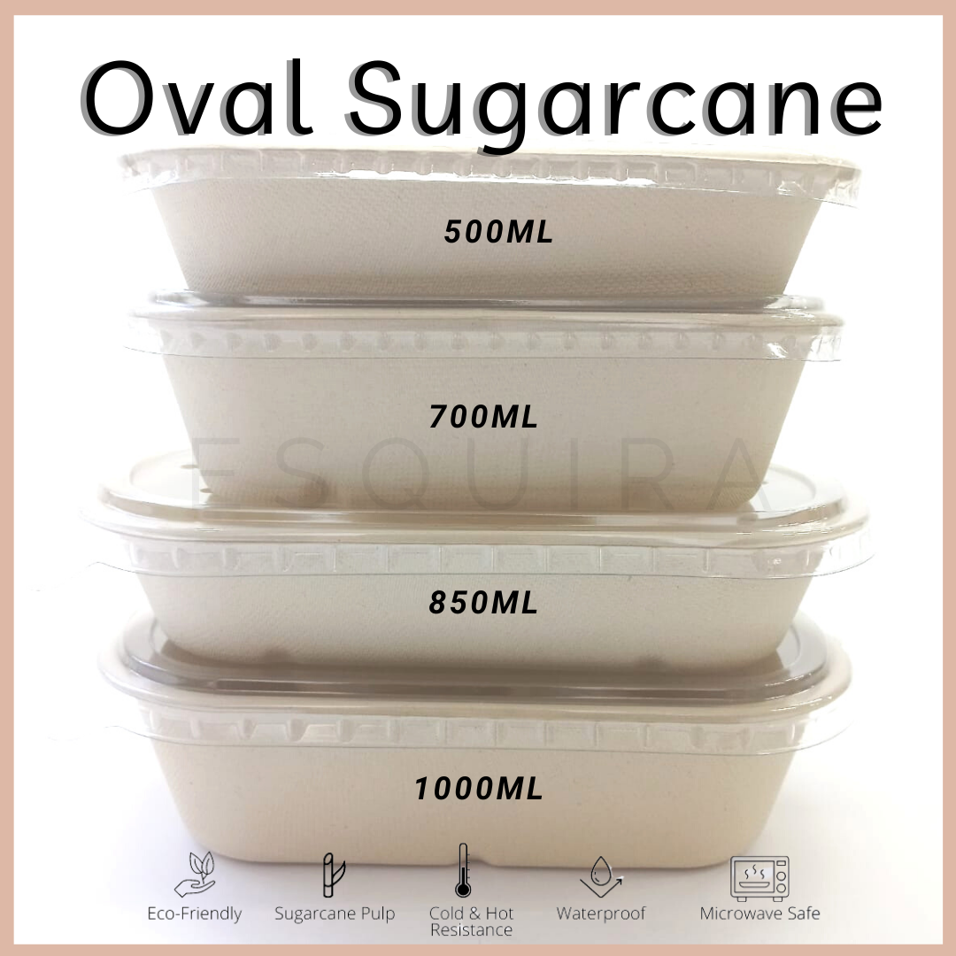 Oval Sugarcane Box 850 ML / Lunch Box 10 Pcs + Lid / TAB850