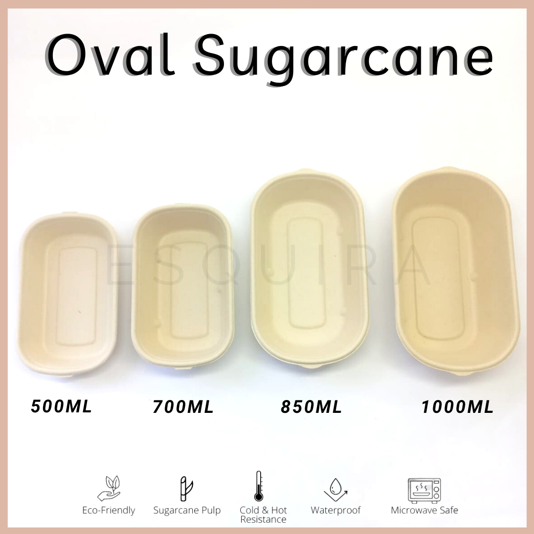 Oval Sugarcane Box 1000 ML / Lunch Box 10 Pcs + Lid / TAB1000