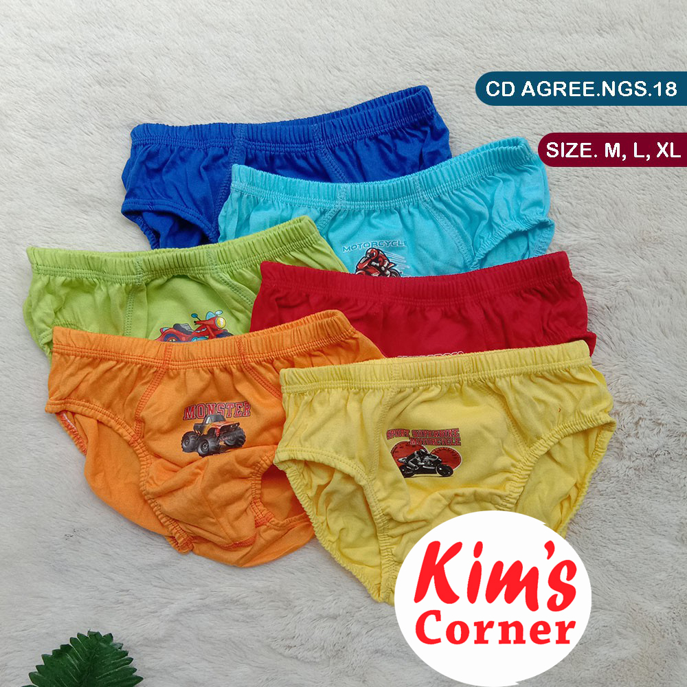 CELANA DALAM AGREE KIDS NGS C18 3PCS