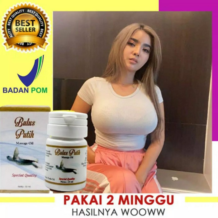 MINYAK BULUS PUTIH ORIGINAL BPOM - PENGENCANG PEMBESAR PAYUDARA AMAN BPOM