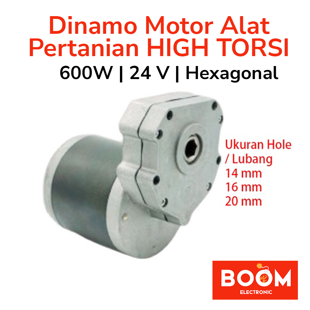 Dinamo Motor Alat pertanian 600w 24V High Torsi Hexagonal Hole (7186)