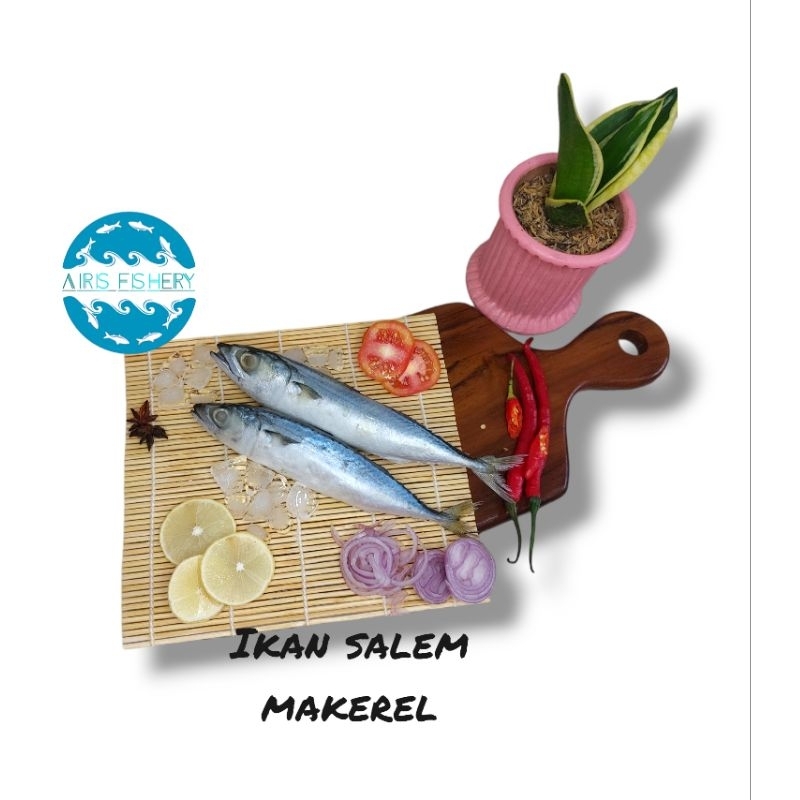 

Ikan Salem Makerel 500g / 1000g