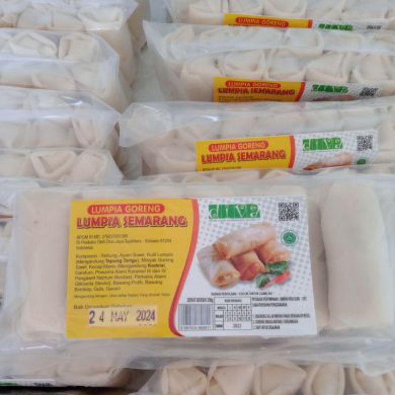 

LUMPIA SEMARANG FROZEN ISI 13