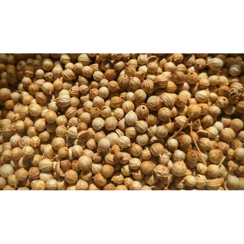 

Ketumbar asli 100gr 250gr 500gr