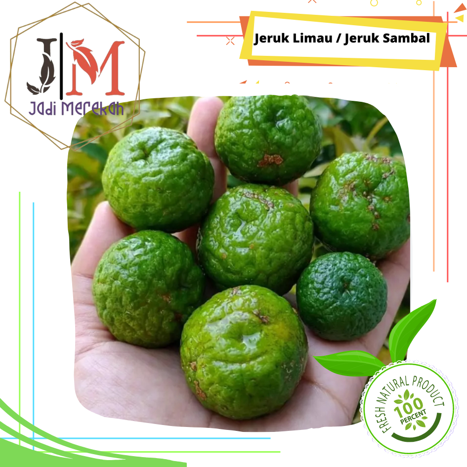 

[JM SoFresh] - Jeruk Limau / Jeruk Sambal