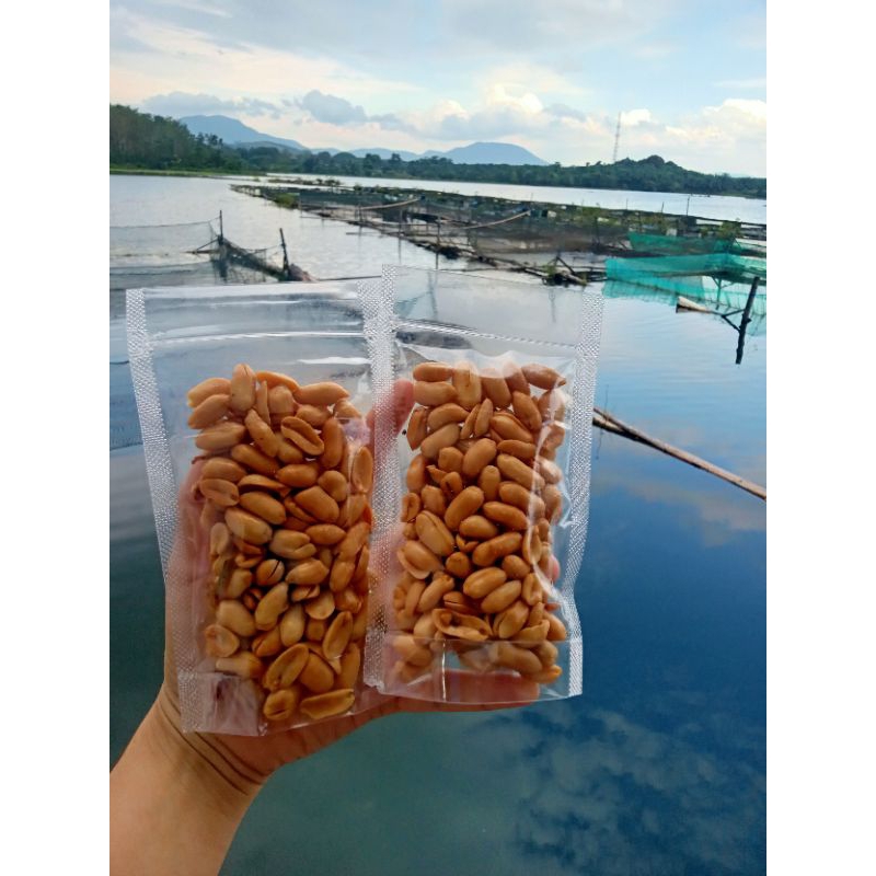 

kacang bawang