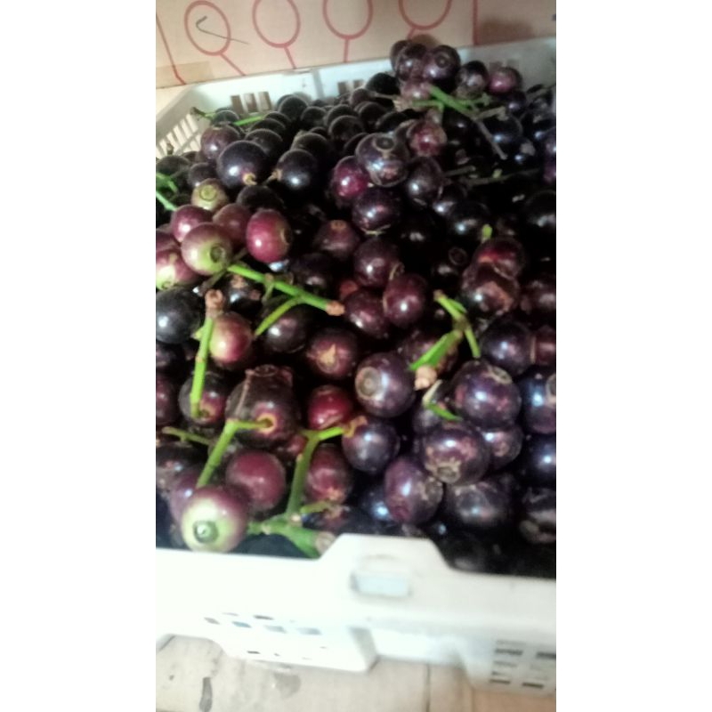 

BUAH GOWOK/ BUAH KUPA ...MANIS ASAM SEGER 500 GRAM