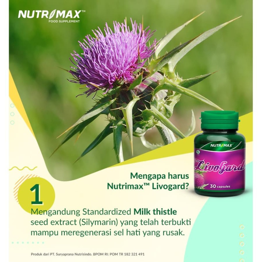 NUTRIMAX LIVOGARD 30 TABLET | Mencegah dan Membantu Mempercepat Penyembuhan Gangguan Liver (hepatitis &amp; sirosis)