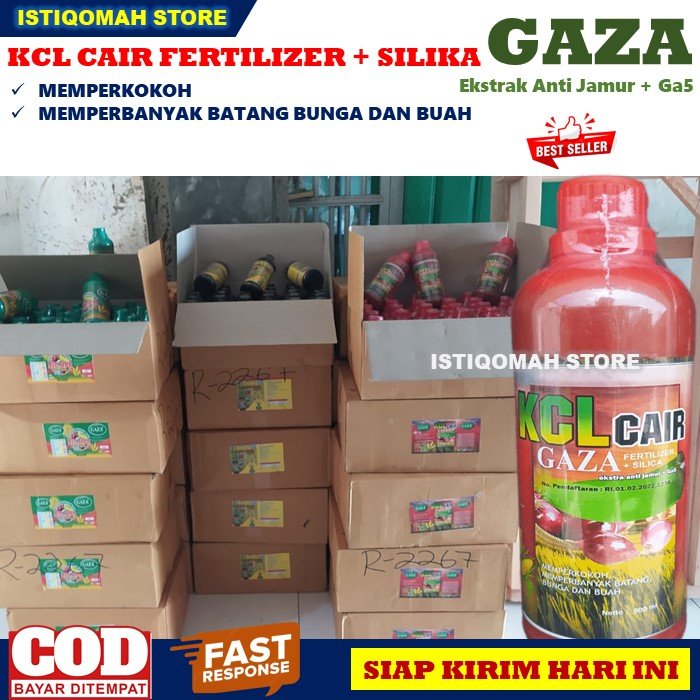 Pupuk Penyubur Tanaman Apel Terbaik Pupuk KCL GAZA 500ML Pupuk Cair untuk Mempercepat Pertumbuhan Tanaman Apel, Pupuk Pelebat Bunga dan Buah Tanaman Apel, Pupuk Buah Apel Tidak Mudah Busuk dan Pecah Hasil Panen Meningkat Paling Manjur dan Murah TERLARIS