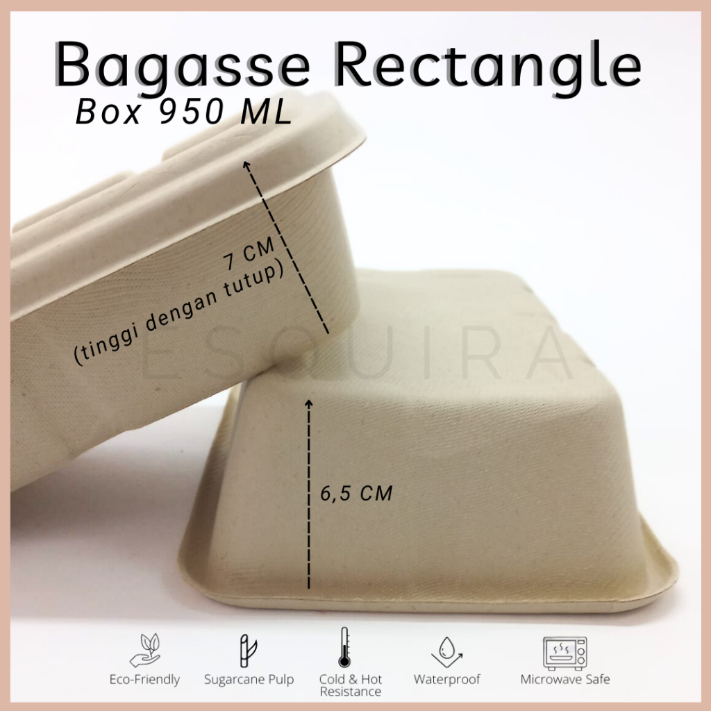 Bagasse Rectangle/Lunch Box 950 ML/10 PCS /Pulp Lid /Mika Lid / C950