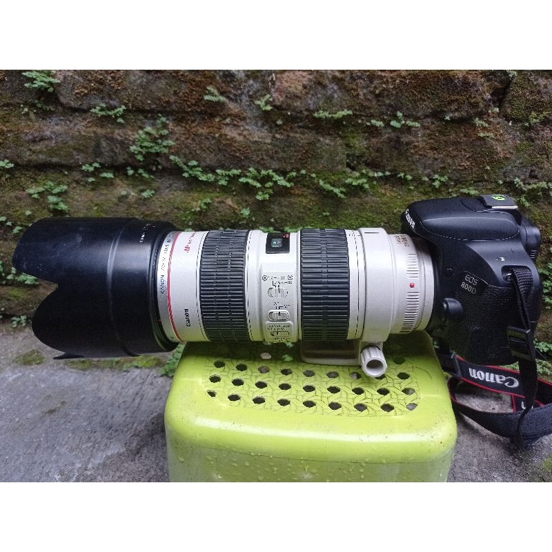 Lensa Canon 70-200mm f/2.8 IS (Second)