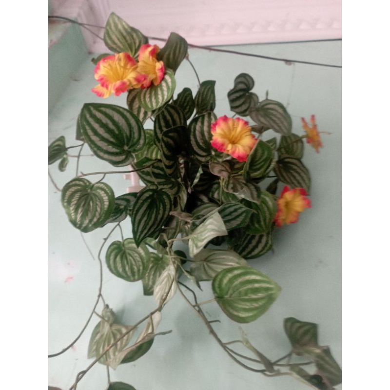 PRELOVED GANTUNGAN BUNGA / Preloved bunga gantung cantik