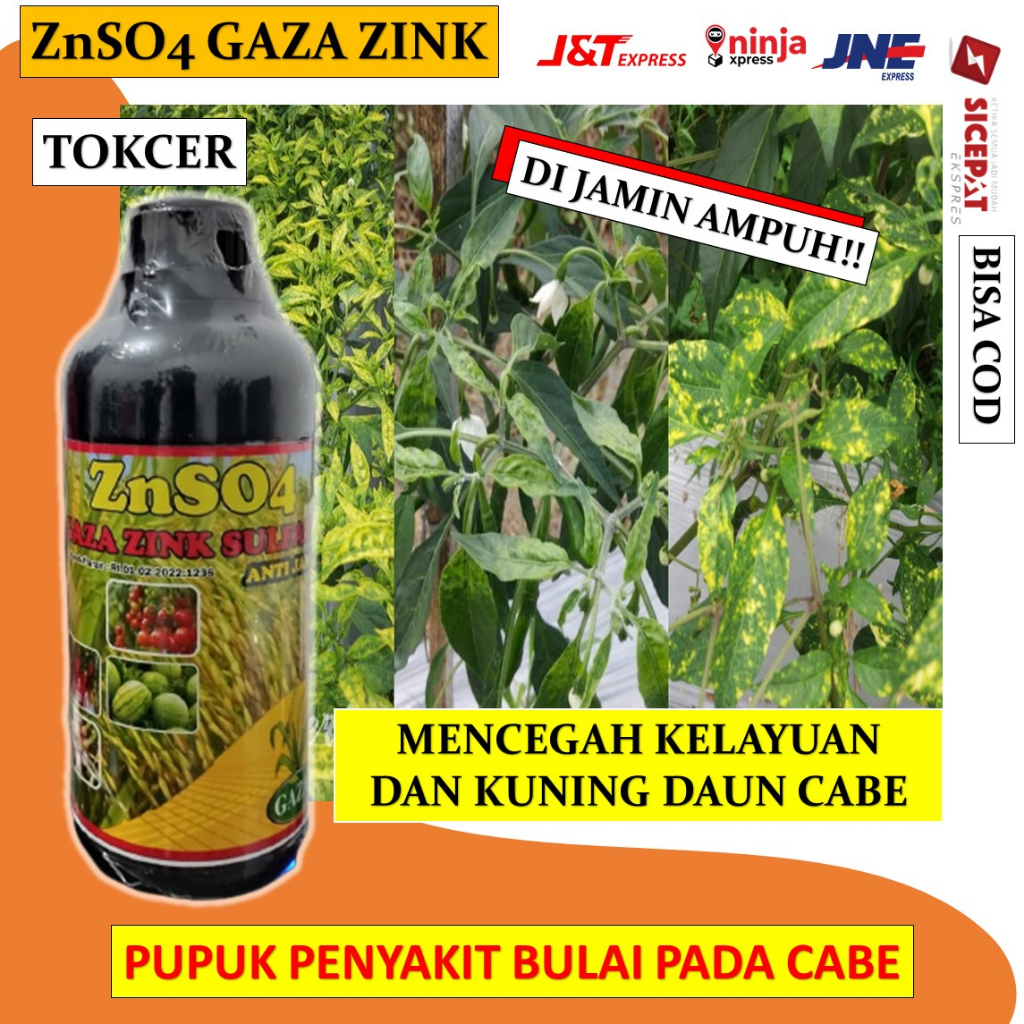 ZnSO4 GAZA ZINK SULFATE ANTI JAMUR Obat Tanaman Cabe Daun Keriting, Obat Layu Fusarium Daun Cabe bul