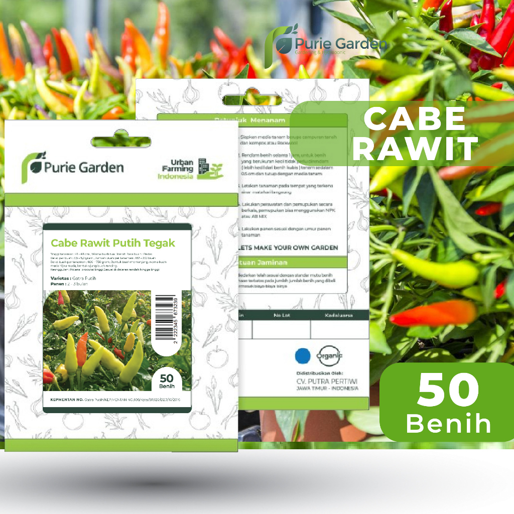 Bibit Benih Cabe Rawit Putih Tegak Purie Garden 50 Benih PG SBY