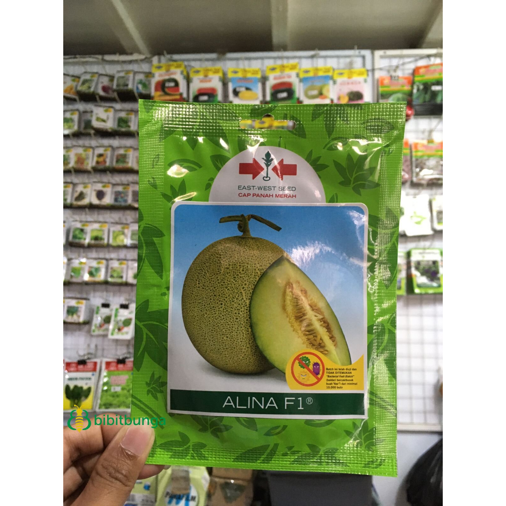 Benih Melon Alina F1 isi 40 Butir Bibit Buah Manis Cap Panah Merah