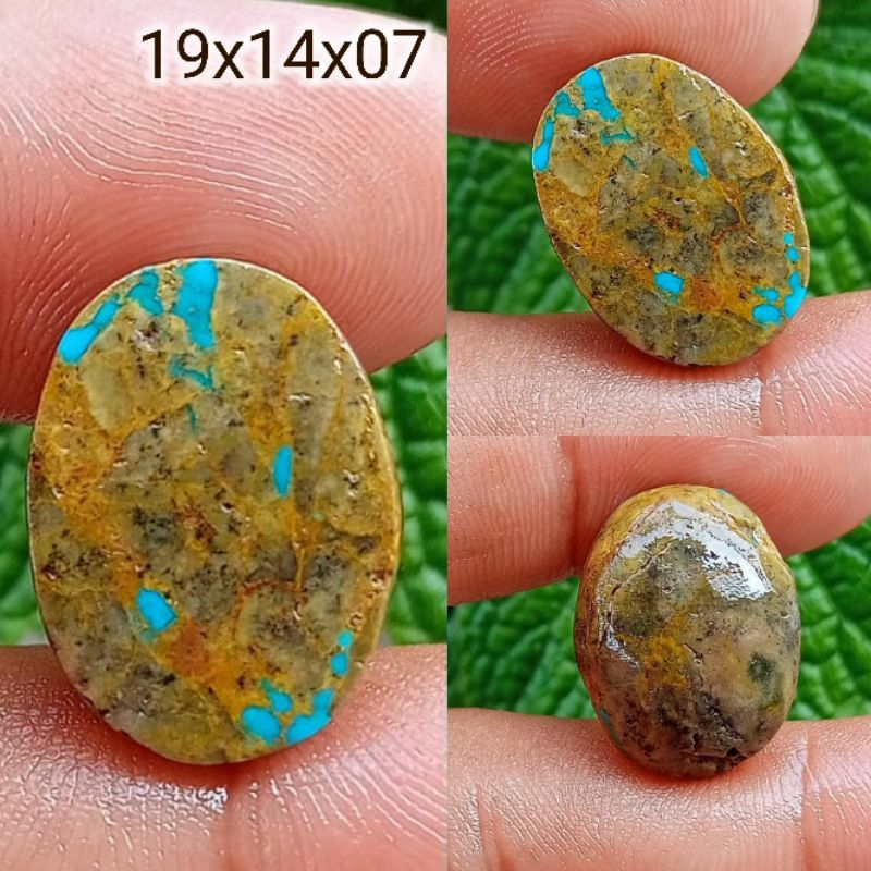 Pirus Persia Toska Urat Mas