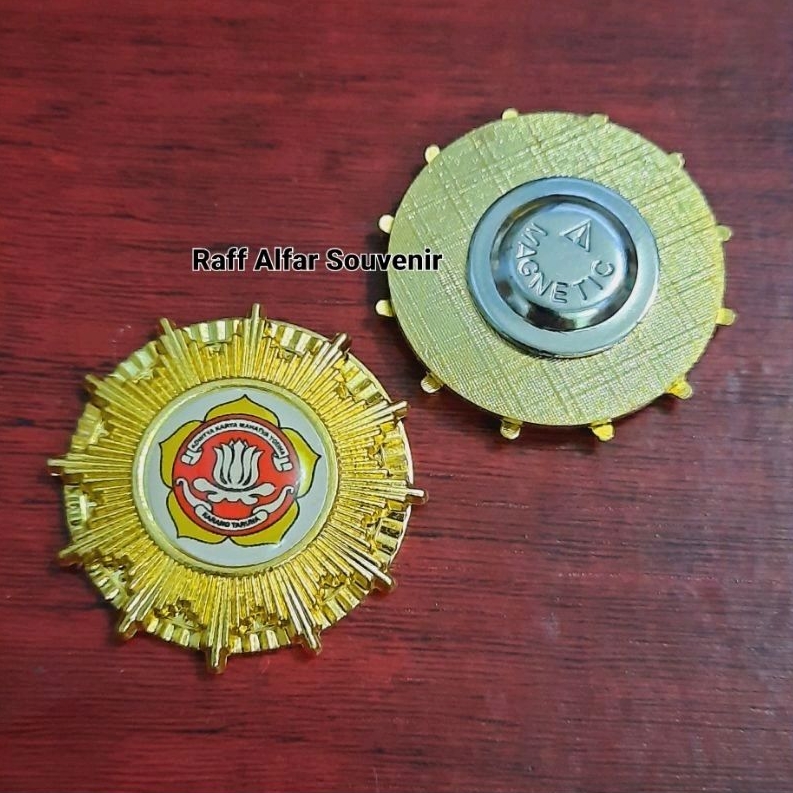 Pin karang taruna - Lencana karang taruna