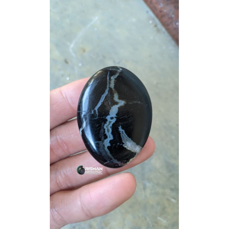 Fosil Batu Akik Kelor