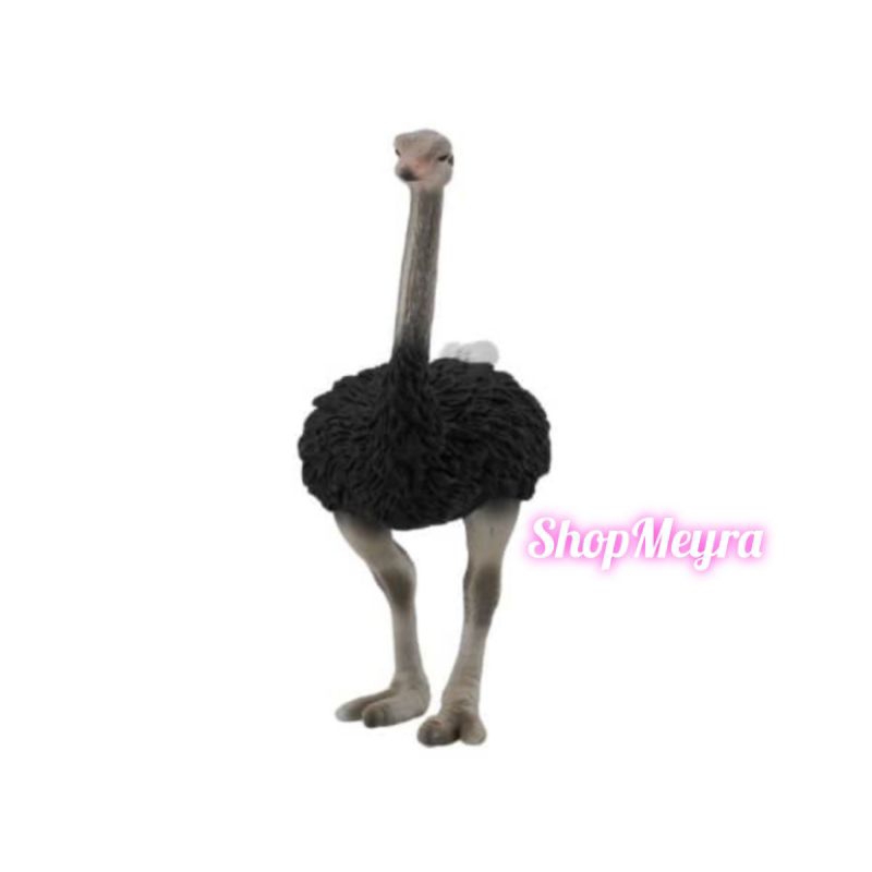 Collecta Figure Ostrich Miniatur Hewan Unggas