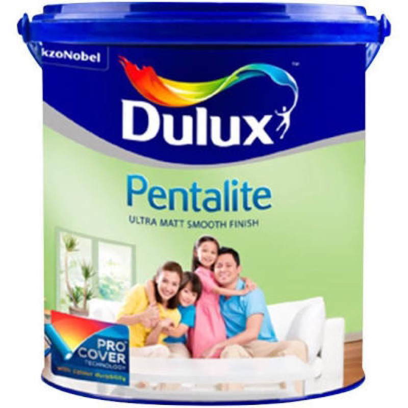 iNstansday- Dulux pentalite 5 kg