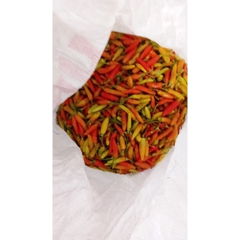 

cabe rawit merah
