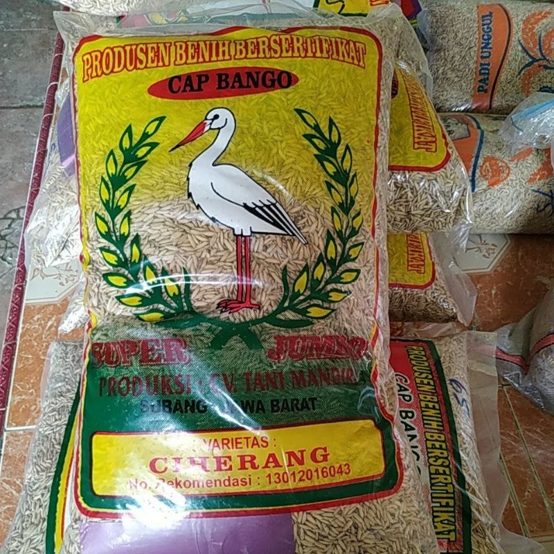 Benih Padi Ciherang 5 kg