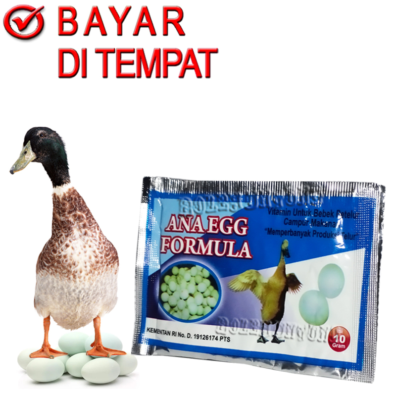 ANA EGG VITAMIN BEBEK PETELUR ITIK ANGSA ENTOK PRODUKSI BANYAK TELOR