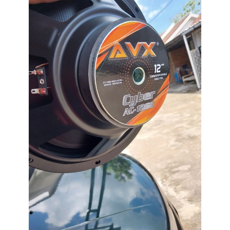 Subwofer  AVX12 inch Dobel Coil