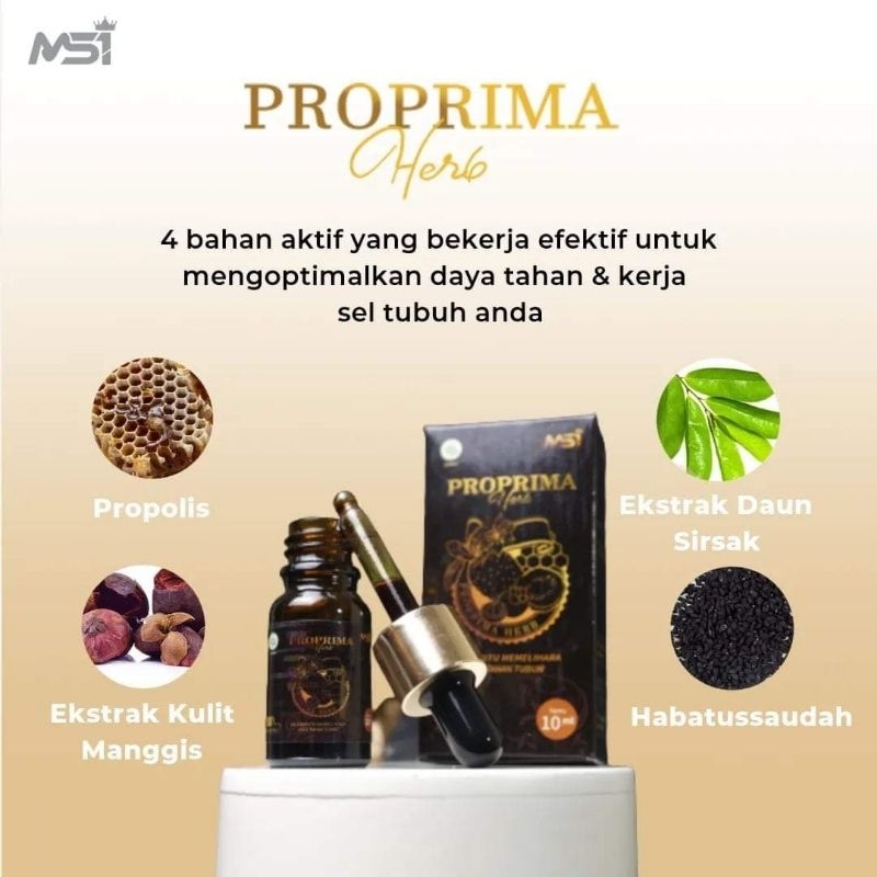 

Jamu Tetes PROPRIMA Herb ORIGINAL MSI