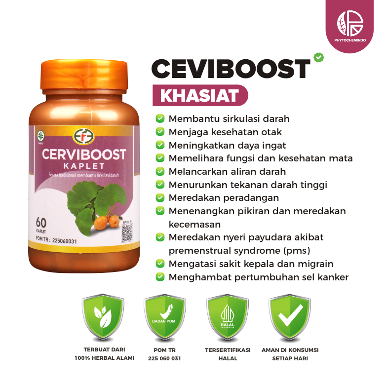 CERVIBOOST Kaplet Ginkgo Biloba Vitamin Otak Atasi Stroke Melancarkan Peredaran Darah