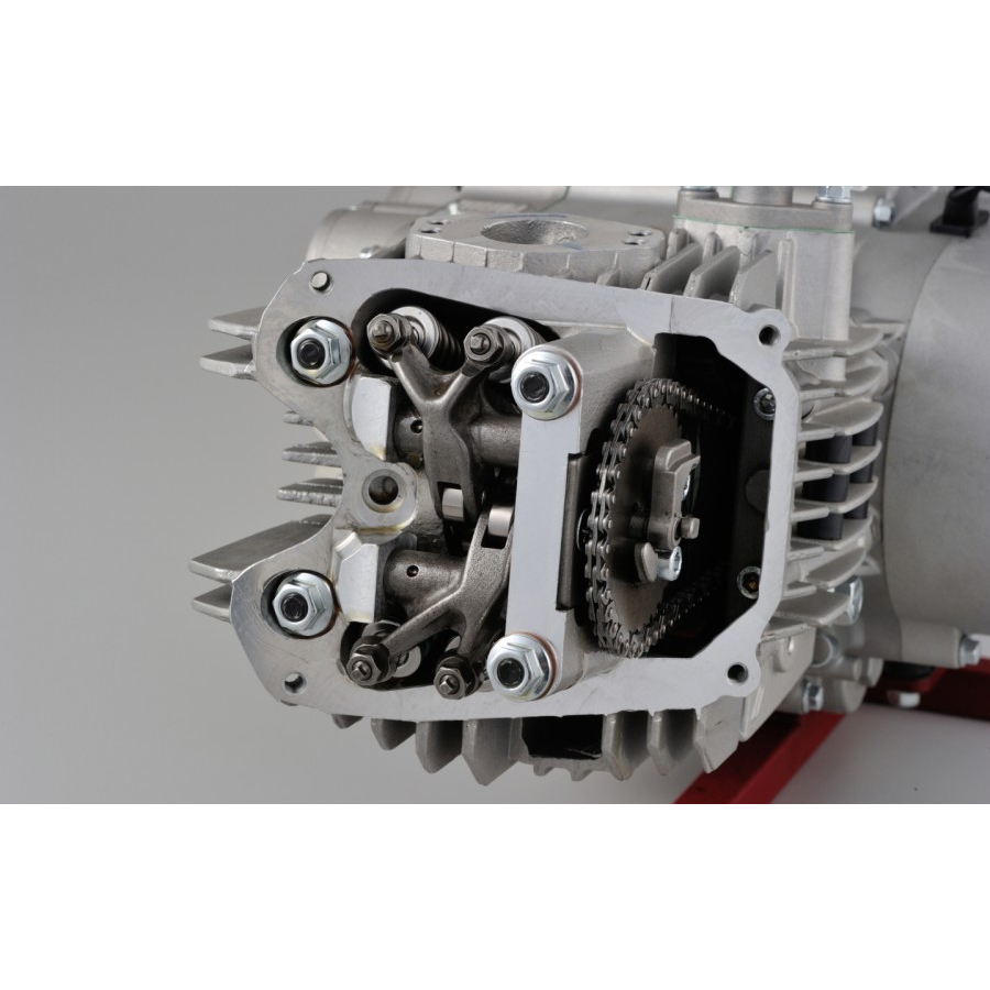 Mesin Daytona Anima 190cc Electric Starter Racing Engine
