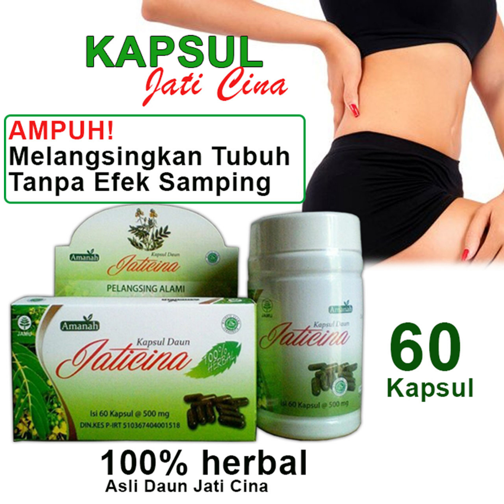 Pelangsing Alami Herbal Jati Cina 60 Kapsul Peluntur Lemak Penurun Berat Badan