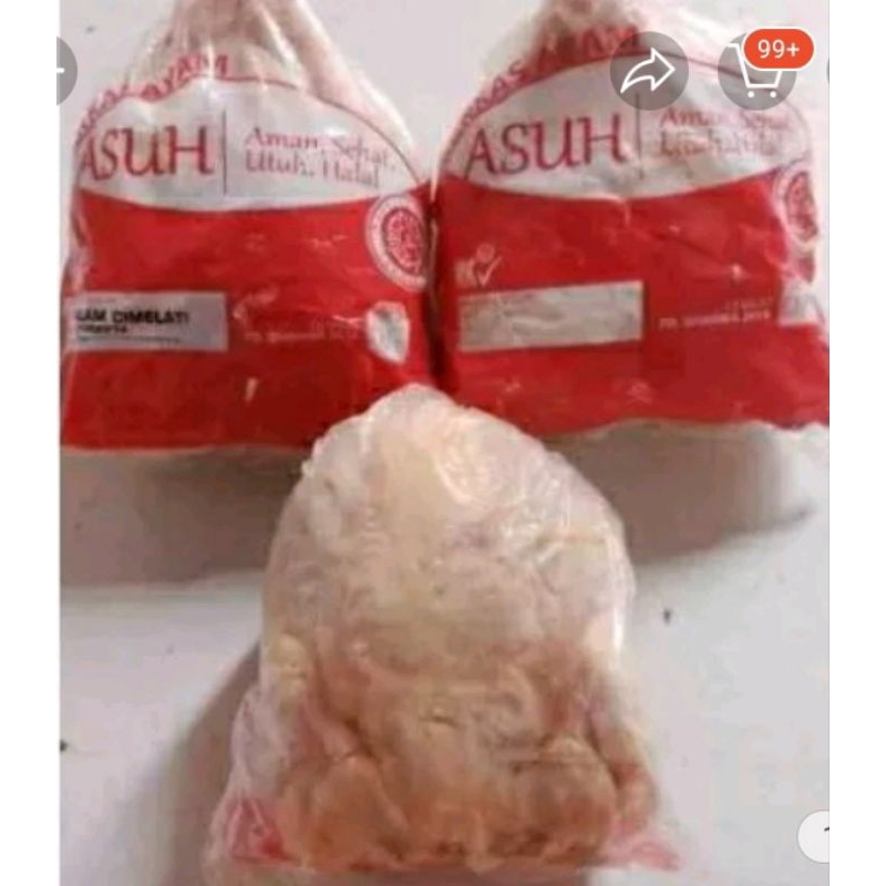 

Ayam Broiler Karkas -+1Kg