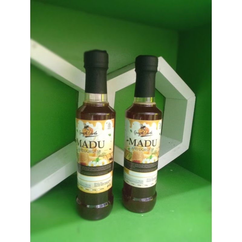 

Madu sengat lebah Apis dorsata