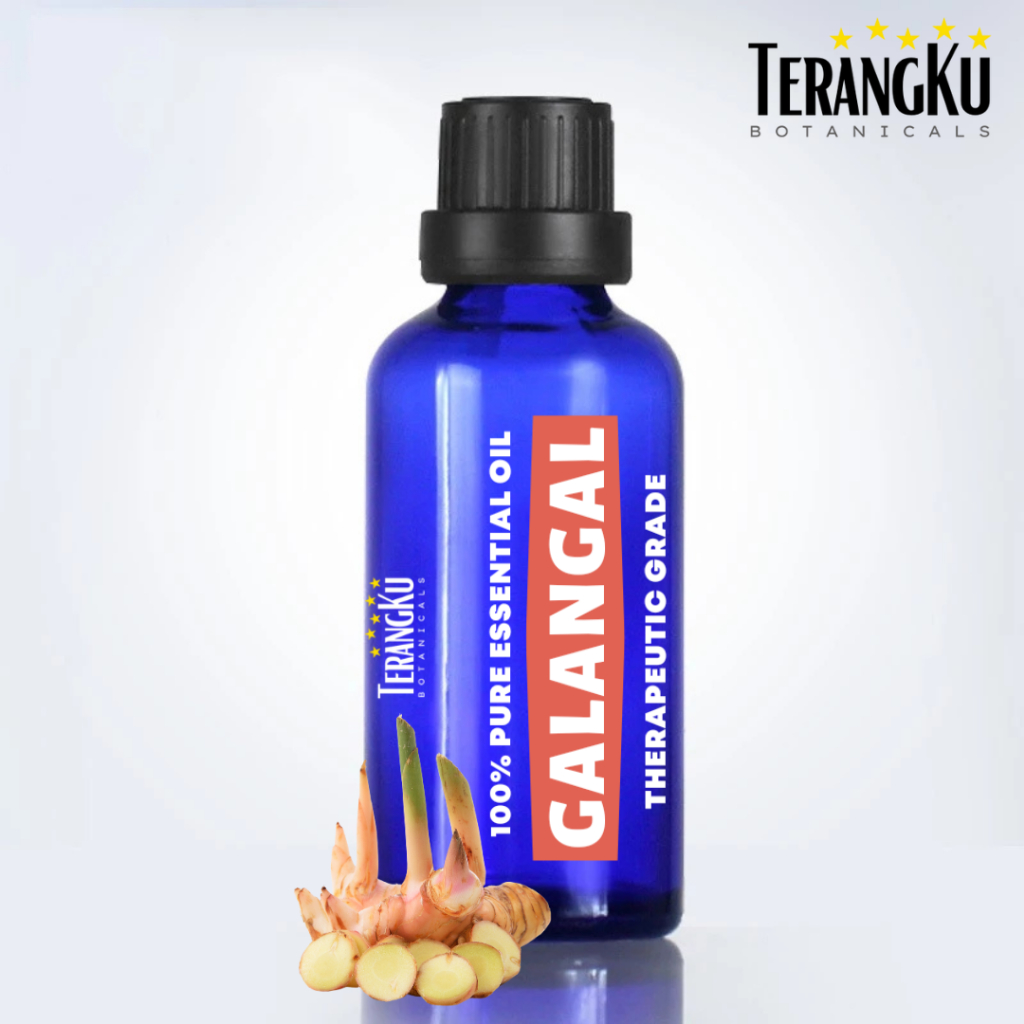 Terangku Botanicals Galangal Lengkuas Pure Essential Oil 10ml / Minyak Atsiri Aromaterapi Aromathera
