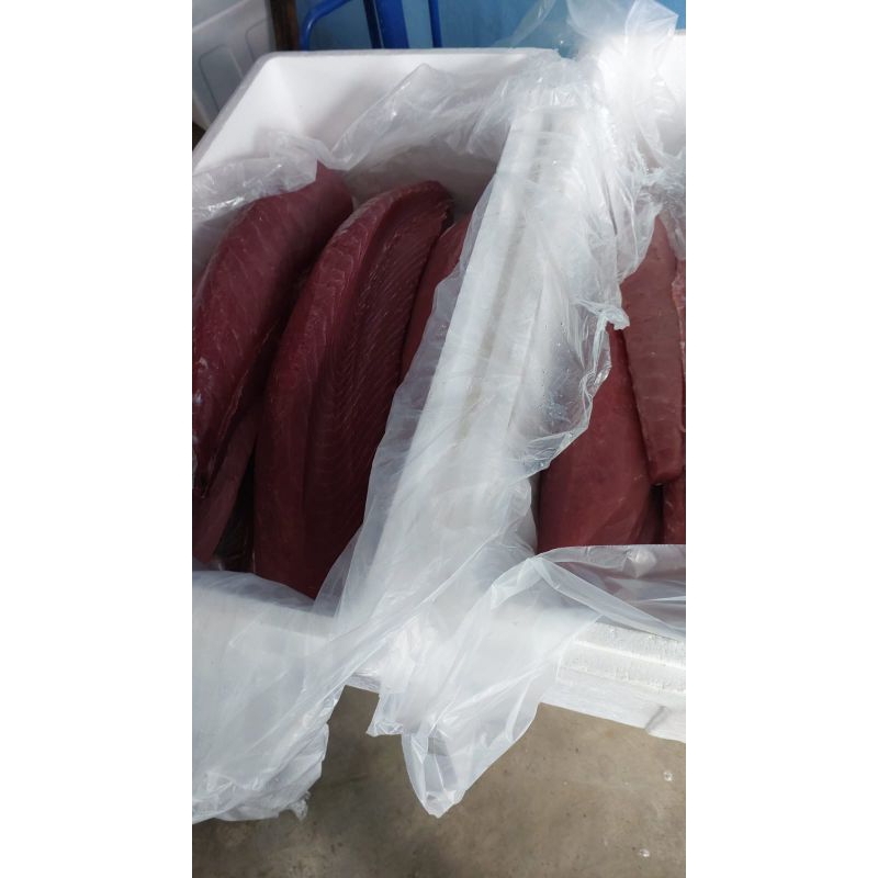 

Tuna Fillet ukuran 1kg premium langsung dari laut papua