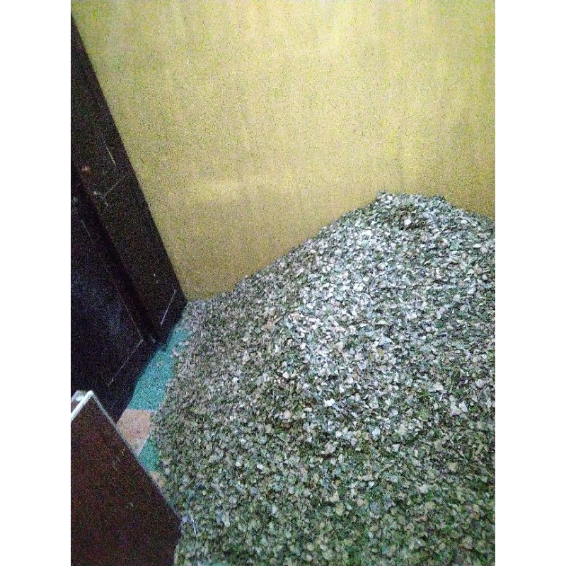 Daun bidara kering super