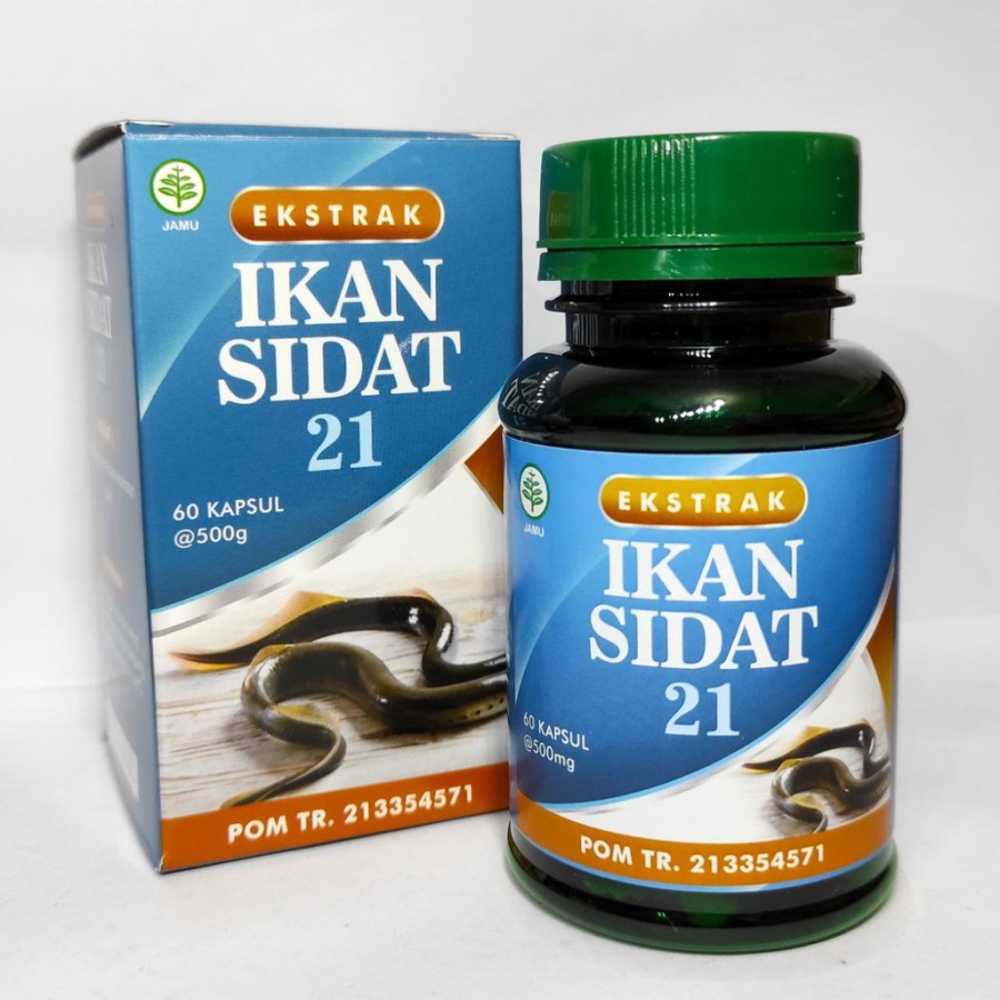 Ektrak sidat gold kapsul ikan sidat