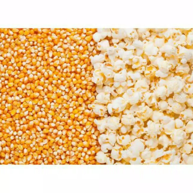 Biji Jagung Popcorn Mentah (100 gram) /Brondong Jagung / Jagung Popcorn ex Argentina / Popcorn Jenis Butterfly