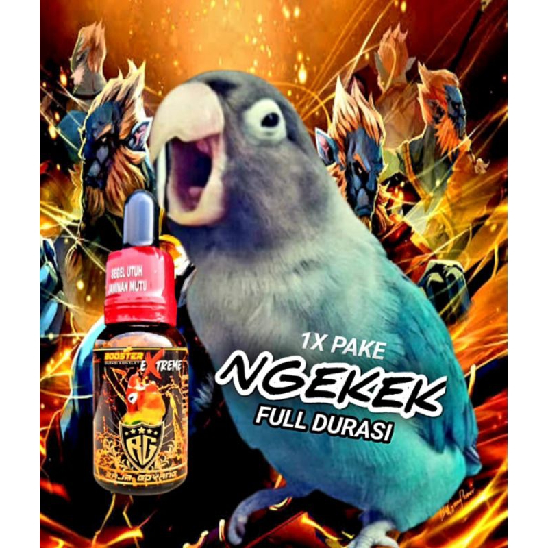 vitamin burung Lovebird BOSTER EXTREME doping penggacor burung lovebird doping gantangan burung Love