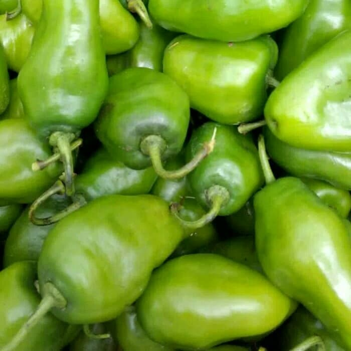 

1 KG Cabe Gendot Cabai Bendot Segar