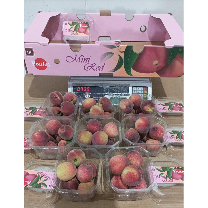 

Peach White Import 8 Pack X 500 grm / Box
