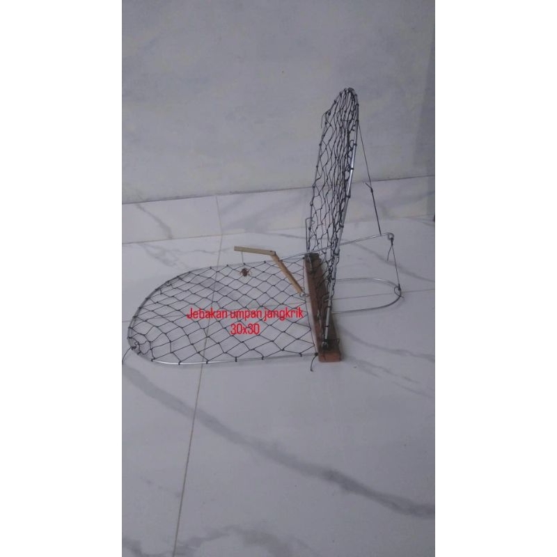 jebakan burung, sangkar jebak, jebakan burung kicau, jebakan umpan jangkrik
