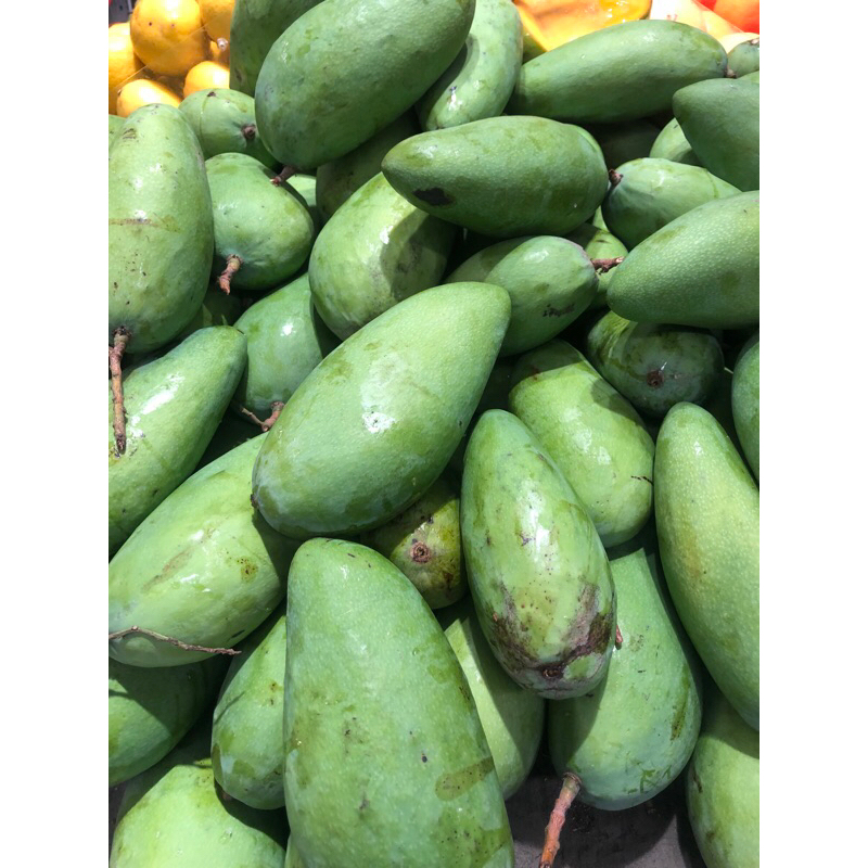 

Mangga Kiojay Super | Mangga Fresh 1 Kg