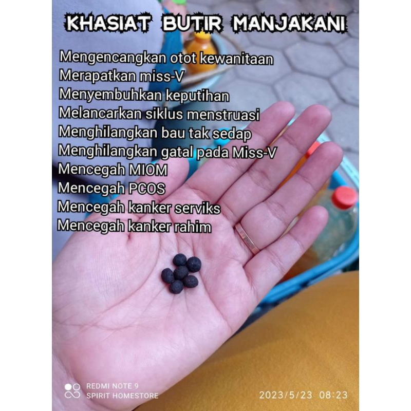 MANJAKANI-RAPAT-WANGI