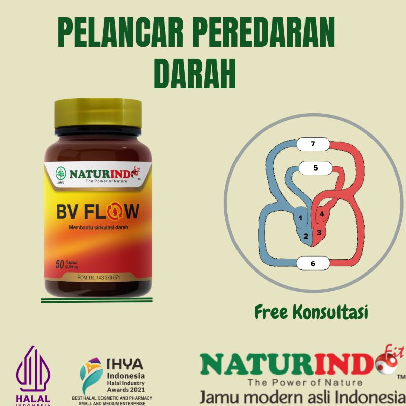 Obat Herbal Memperlancar Sirkulasi Darah Dan Kesemutan Varises Kebas BV Flow