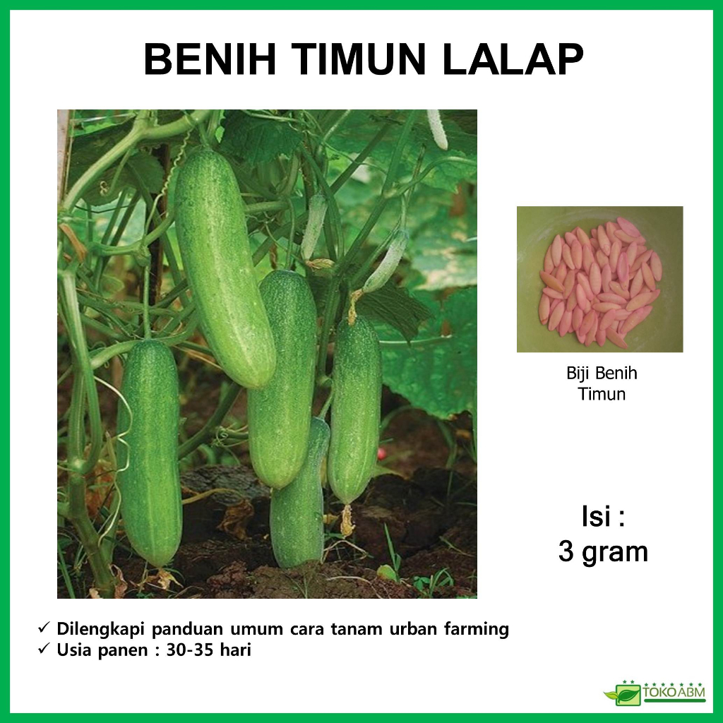 Benih Sayuran Timun Lalap Kemasan Repack  - Benih Baby Mentimun - Benih Mentimun Mini - Benih Timun 