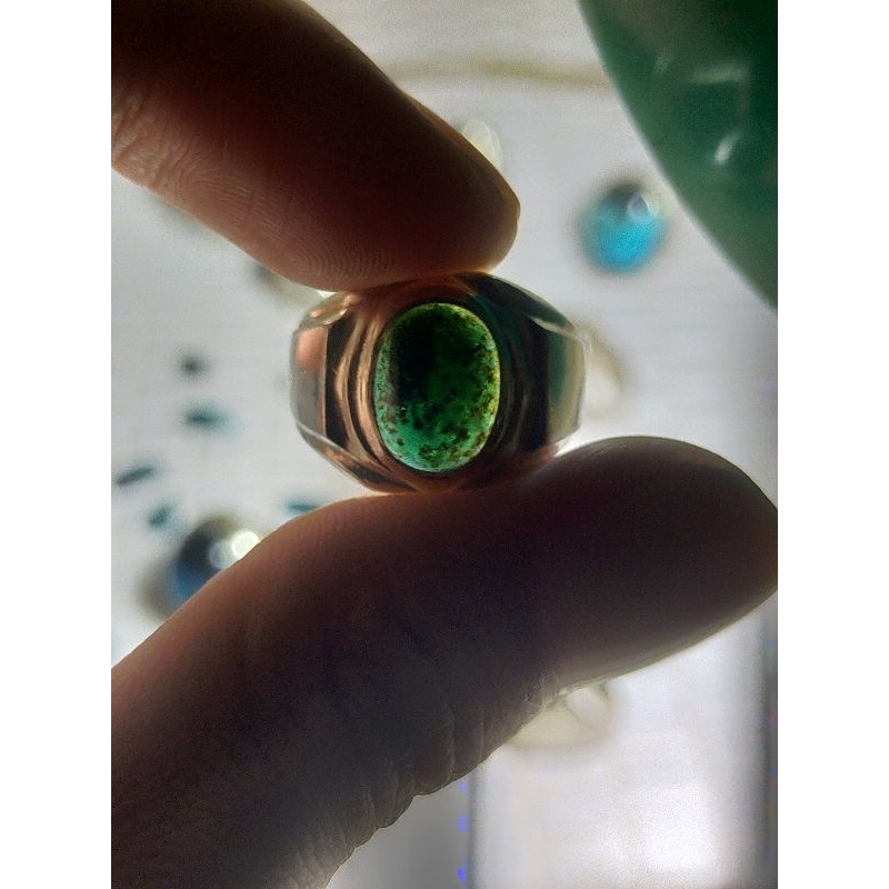 Bacan totol coklat