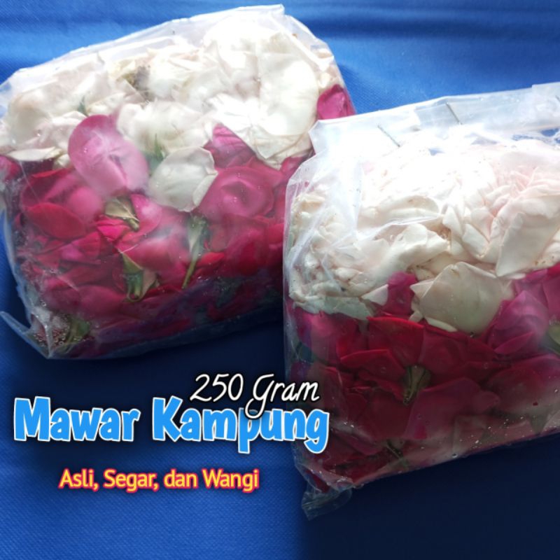 bunga mawar kampung tabur segar asli
