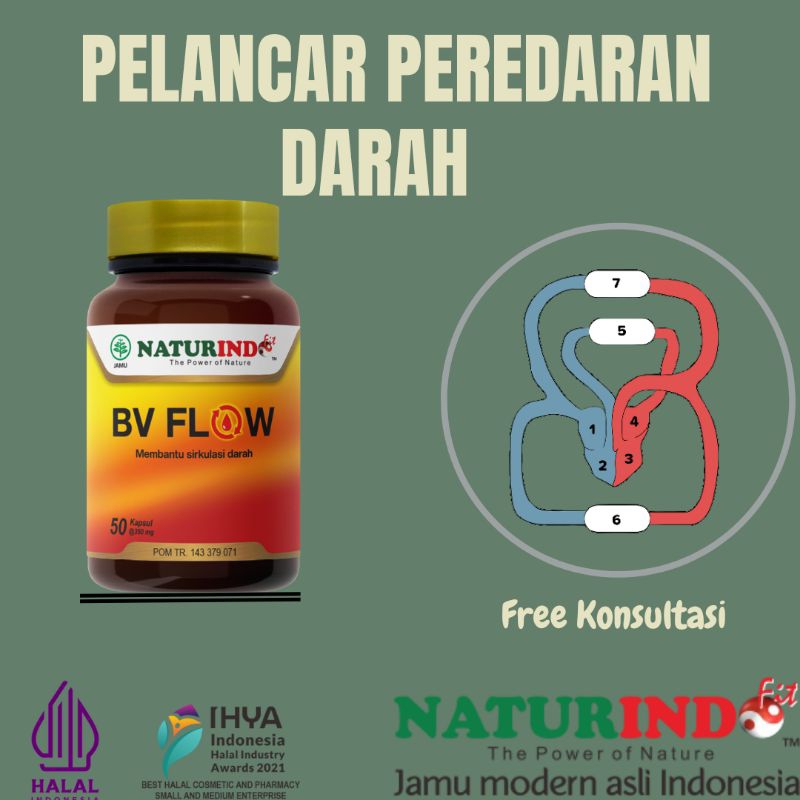 Obat Herbal Memperlancar Sirkulasi Darah Dan Kesemutan Varises Kebas BV Flow